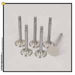 Set of 6 exhaut valves for SM 