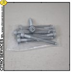XM/XANTIA engine XU10: Complete set of cylinder head screws