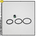 Set di O-ring per revisione pompa monopistone - LHM